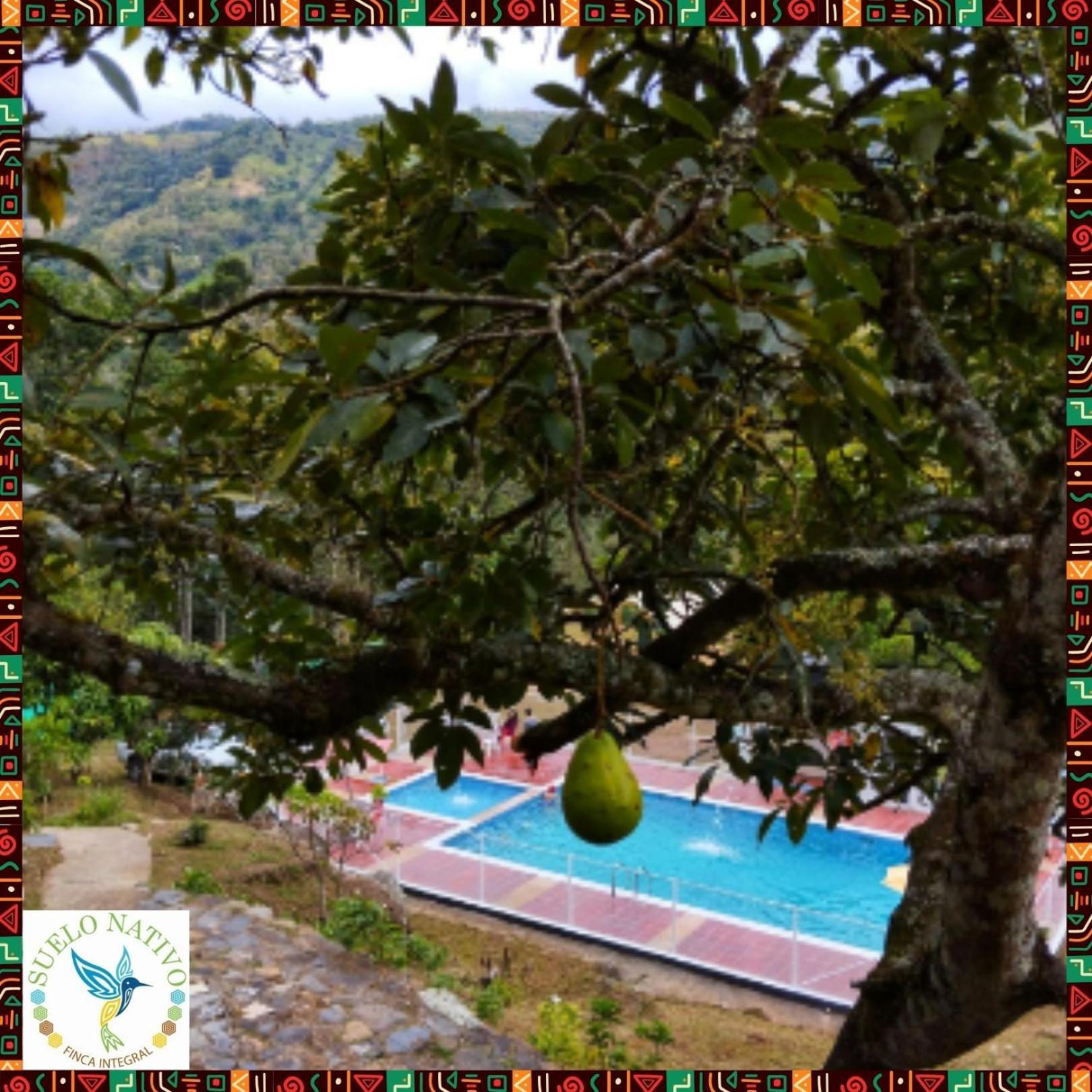 Hotel Finca Integral Suelo Natiivo "Integramos El Campo Con Tu Bienestar" Guaduas Εξωτερικό φωτογραφία